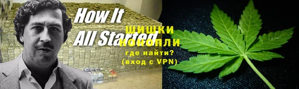 спиды Богородицк