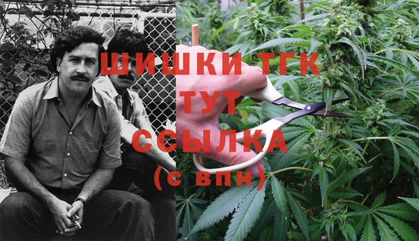 спиды Богородицк