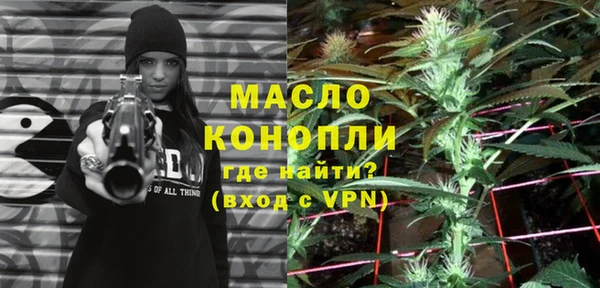 спиды Богородицк