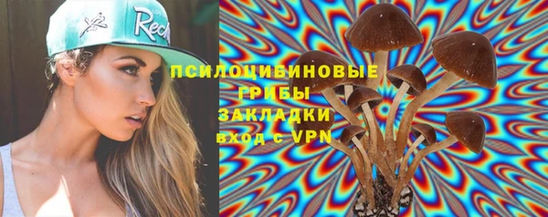 спиды Богородицк