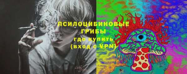 гашик Бугульма