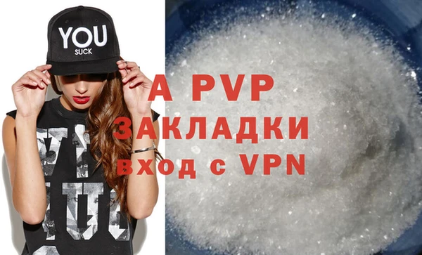 гидра Богданович