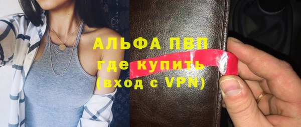 гидра Бородино