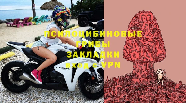 спиды Богородицк